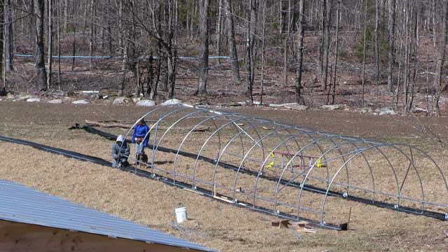Hoop Tunnel Greenhouse