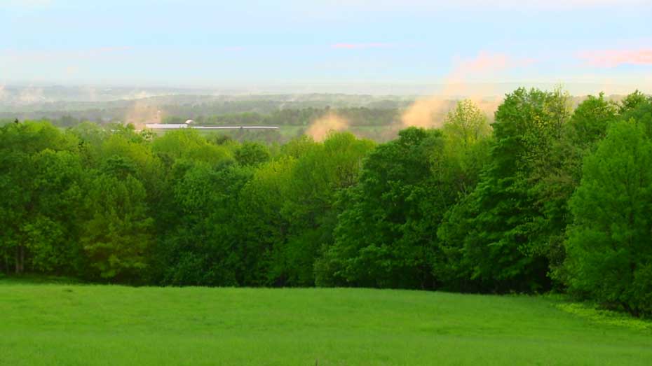 Coram Deo Farm Field