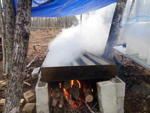 Evaporator #1