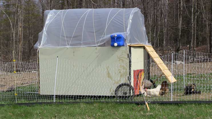 Chicken Tractor