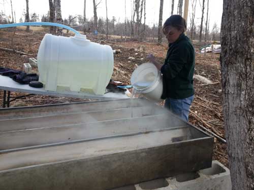 Kayla pouring sap