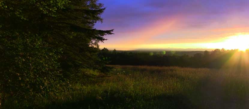 Homesteading in Maine