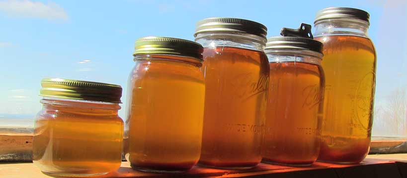 Maple Syrup