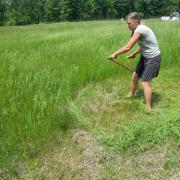 Kayla Scythes the field
