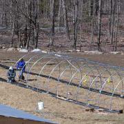 Hoop Tunnel Greenhouse