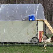 Chicken Tractor