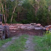 Loggin in Thorndike