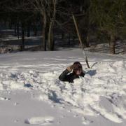 Maine Snow