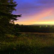 Homesteading in Maine
