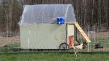 Chicken Tractor