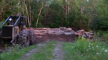 Loggin in Thorndike