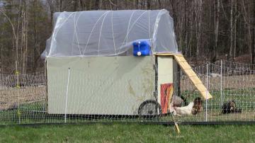 Chicken Tractor